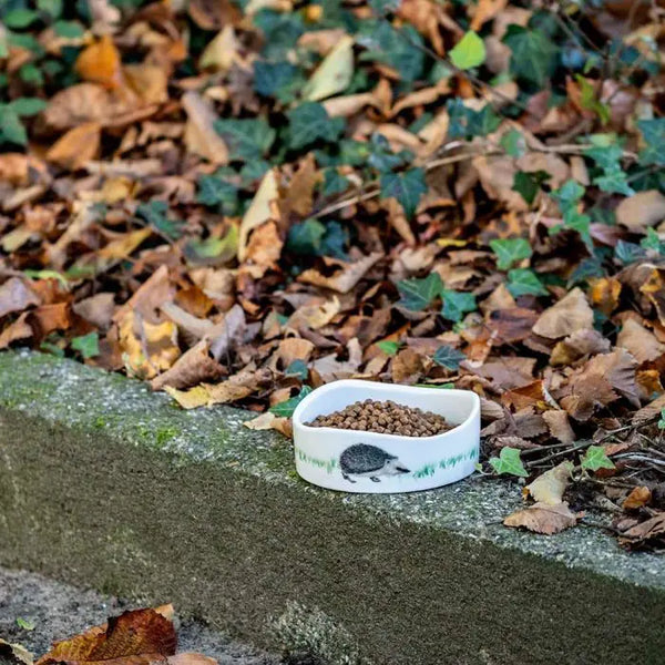 Premium Hedgehog Power Food