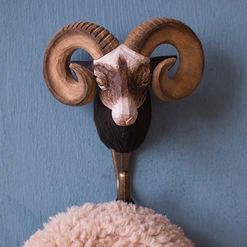 Haken Ram