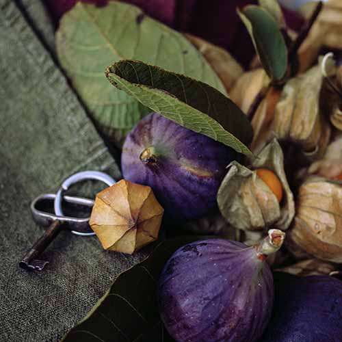 Keychain Physalis