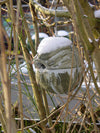 Winterkoningbol 1ZA van houtbeton – vrijhangend nest – foto 2