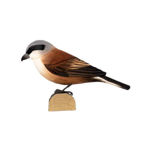 DecoBird - Great Grey Shrike