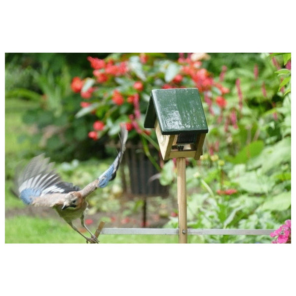 Cork Peanut Butter Jar Holder with Rocker