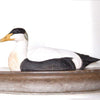 DecoBird - Eider Goose