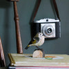 Houtgesneden Vogelbeeld Goudhaantje – DecoBird | Wildlife Garden