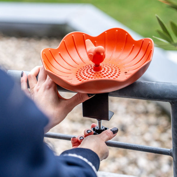 Balkon Voederschaal Balus (terracotta) – Compacte voederschaal met klem voor balkons
