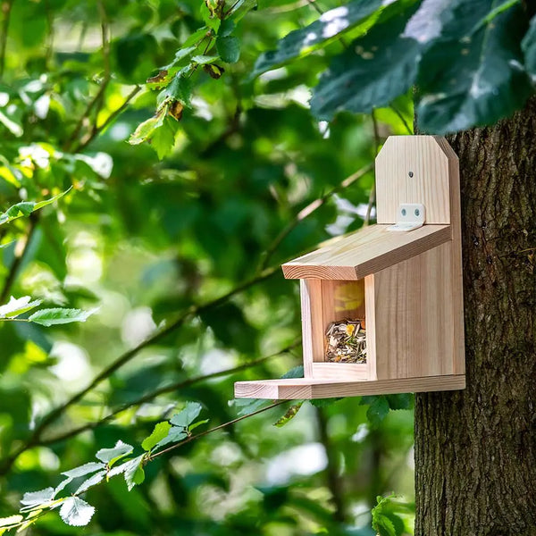 Sanjo squirrel feeding house construction kit