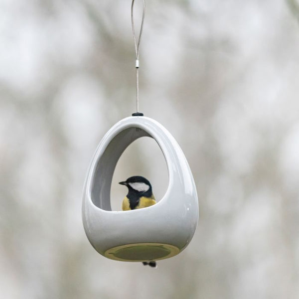 Fiesta Dinner - Grau