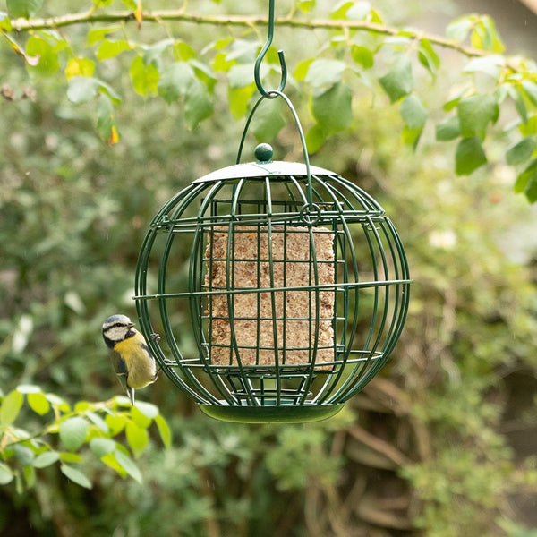 Vogelschutz - London Fat Block Holder