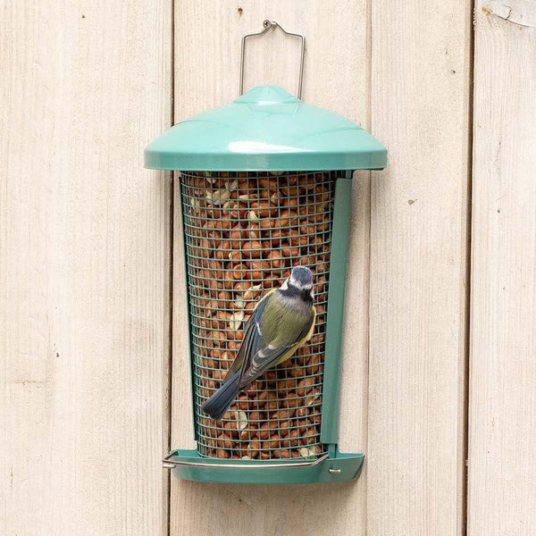 Vogelschutz - Premium Erdnüsse