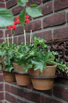 Esschert Design - Blumentopfhänger Classic für 3 Personen