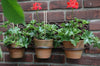 Esschert Design - Blumentopfhänger Classic für 3 Personen