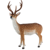 Standing sika deer L