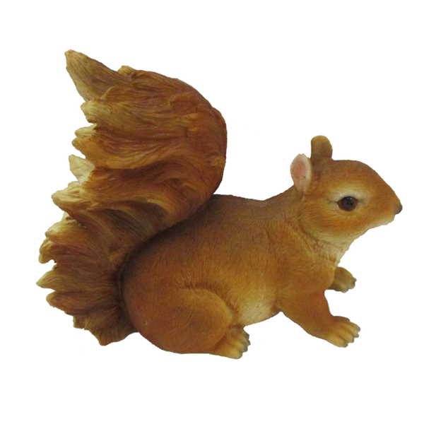 Eekhoorn L