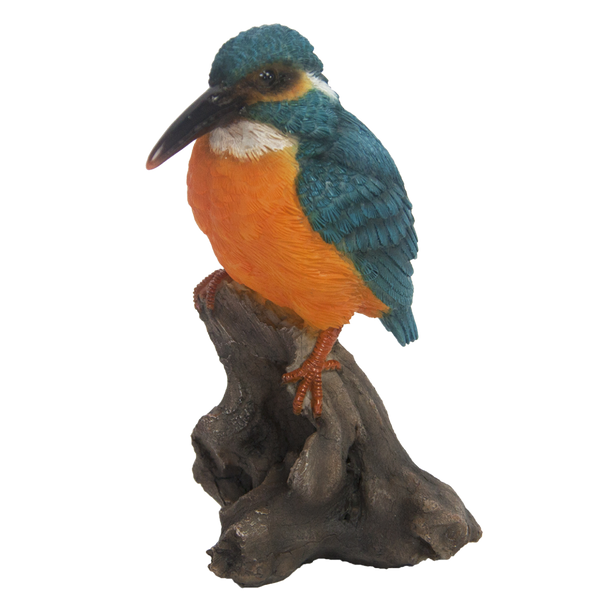 IJsvogel