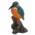 IJsvogel