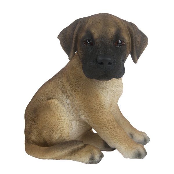 Zittende deense dog pup