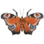 Vlinder