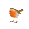 Robin