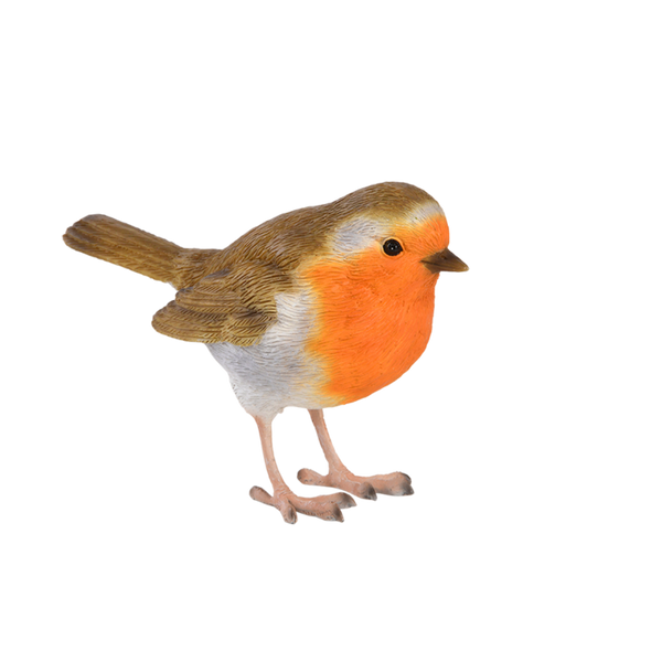 Robin