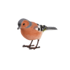 Tick