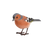 Tick