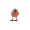 Tick