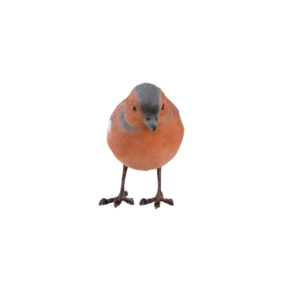 Tick