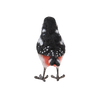 Grote bonte specht