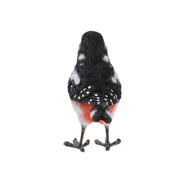 Great spotted woodpecker