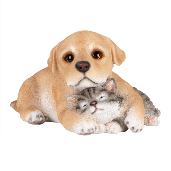 Pup met kitten
