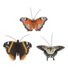 Schmetterling S