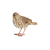 Zanglijster