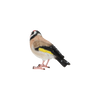 Goldfinch