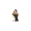 Goldfinch