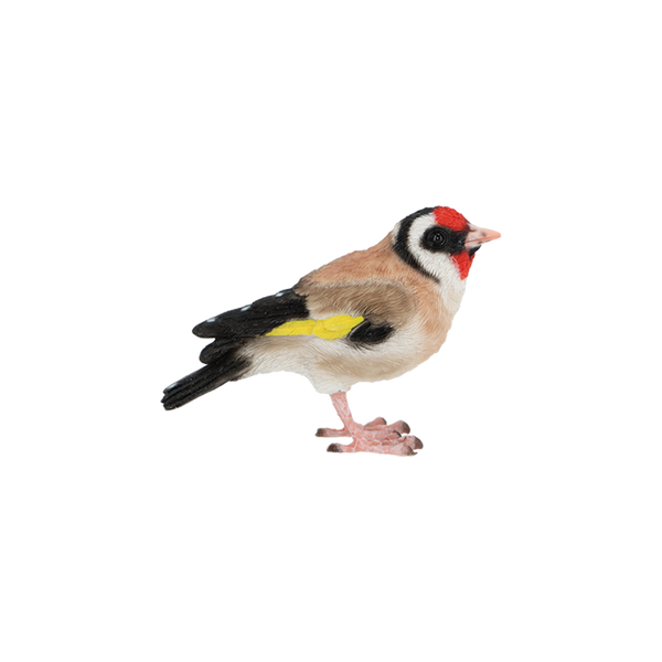 Goldfinch