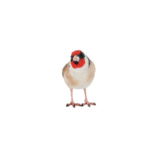 Goldfinch