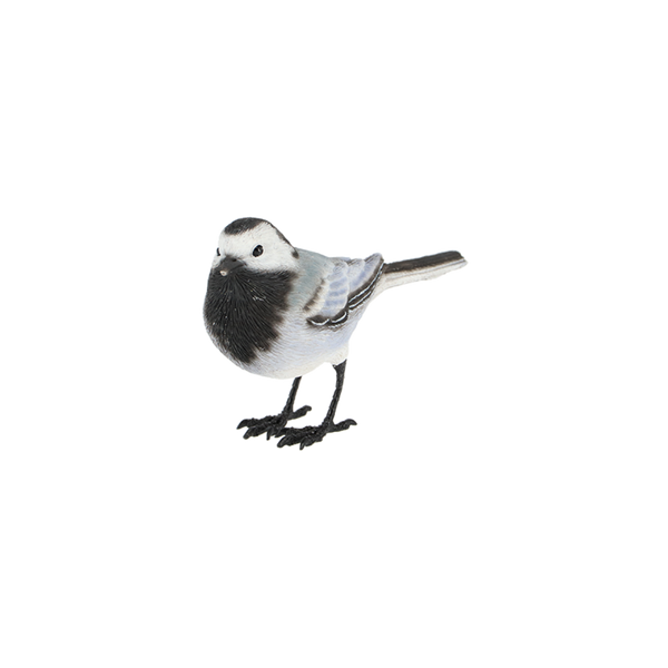Witte kwikstaart