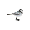Witte kwikstaart