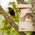 Birdhouse Birch large