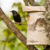 Vogelhuisje Berkenstam Groot 45mm | Tuinrijk