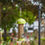 Zaadsilo Bloem 27cm ass.kleur