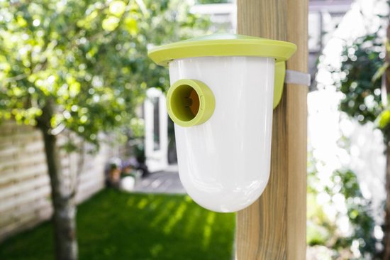 SingingFriend - breedR grün