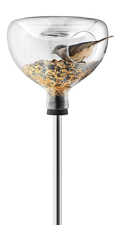 Vogelhäuschen aus Glas mit Vogelbad