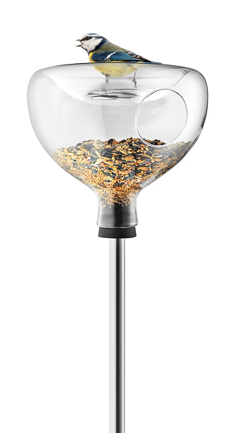 Vogelhäuschen aus Glas mit Vogelbad