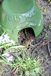 Esschert design - Toad house