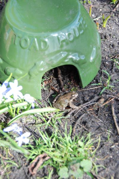 Esschert design - Toad house