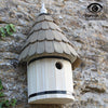 Birdhouse Amber