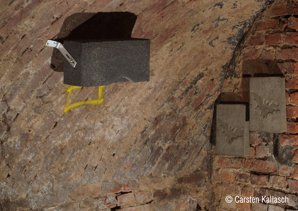 Vleermuis-gewelfsteen 1GS voor kelders en tunnels – foto 2