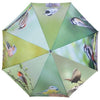 Umbrella birds