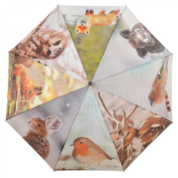 Umbrella winter print